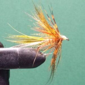 Yellow and Guinea bird wet fly